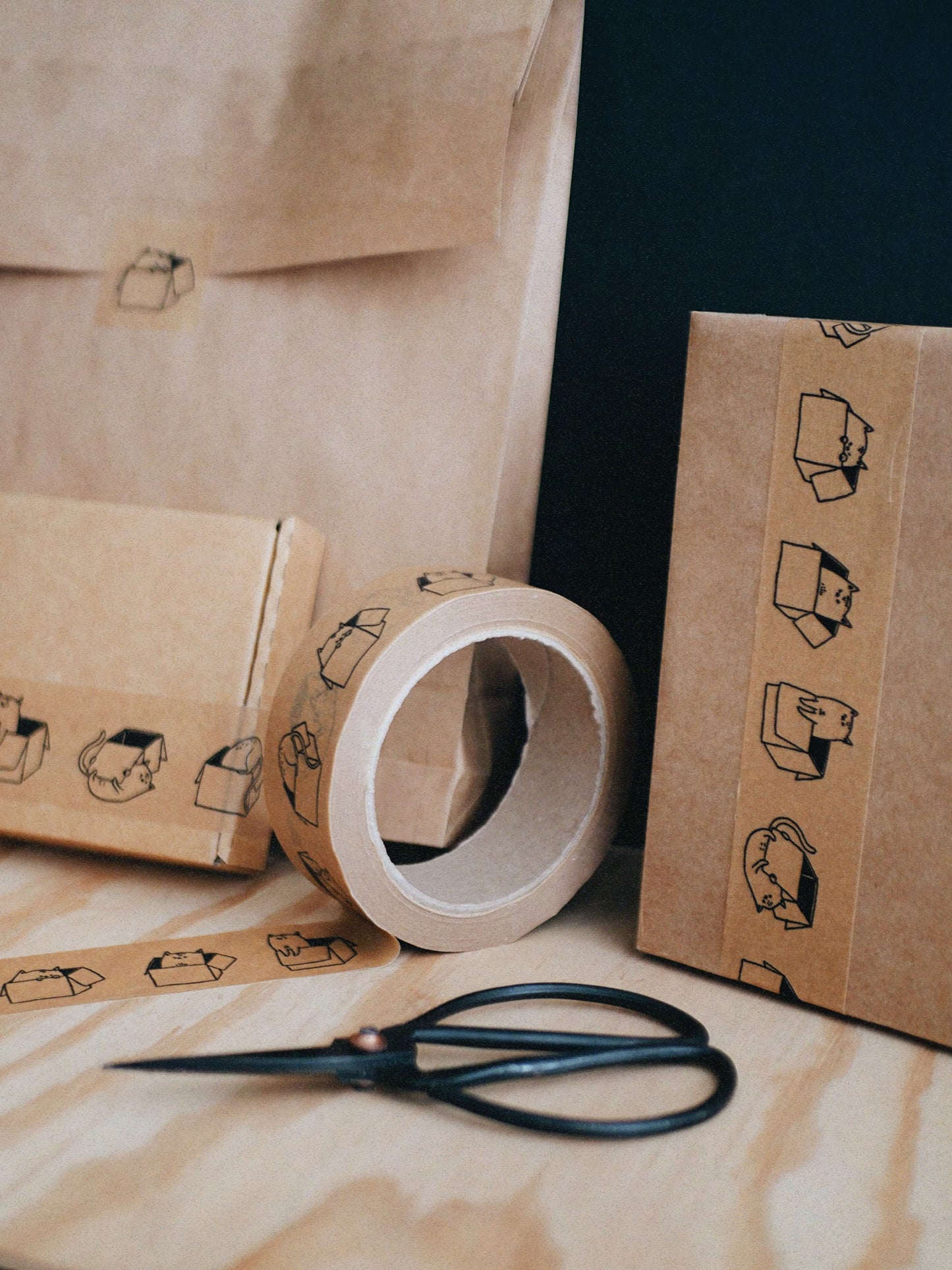 paper tape (wide) - cat in a box!!!!