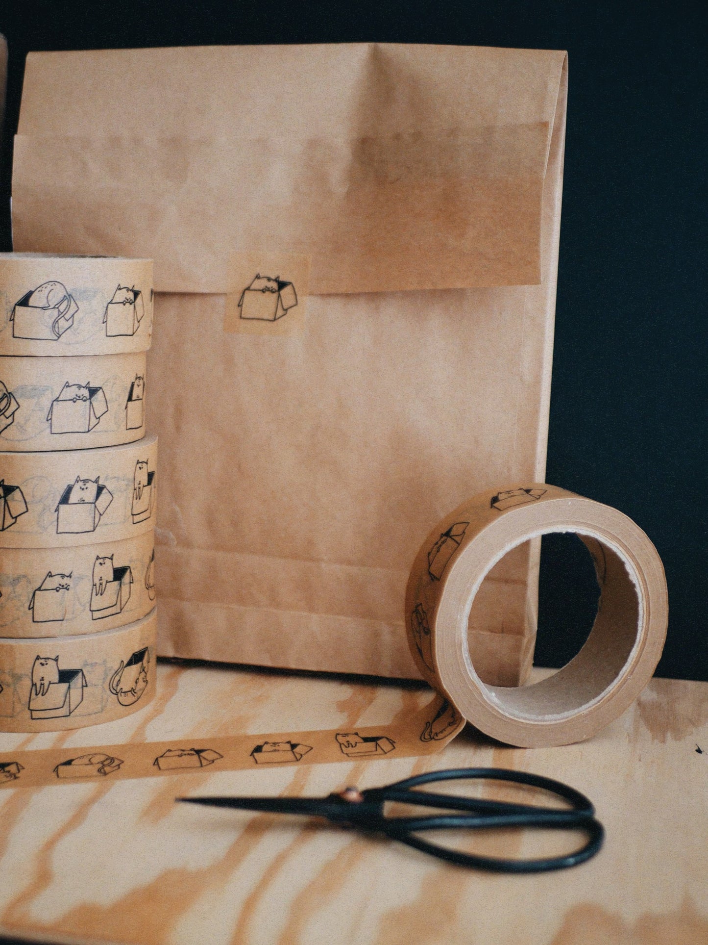 paper tape (wide) - cat in a box!!!!