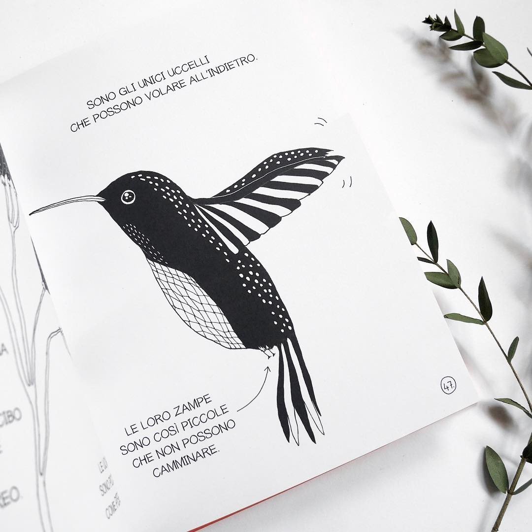 The Illustrated Compendium of Amazing Animal  Facts - Signed Copy + PRINT!