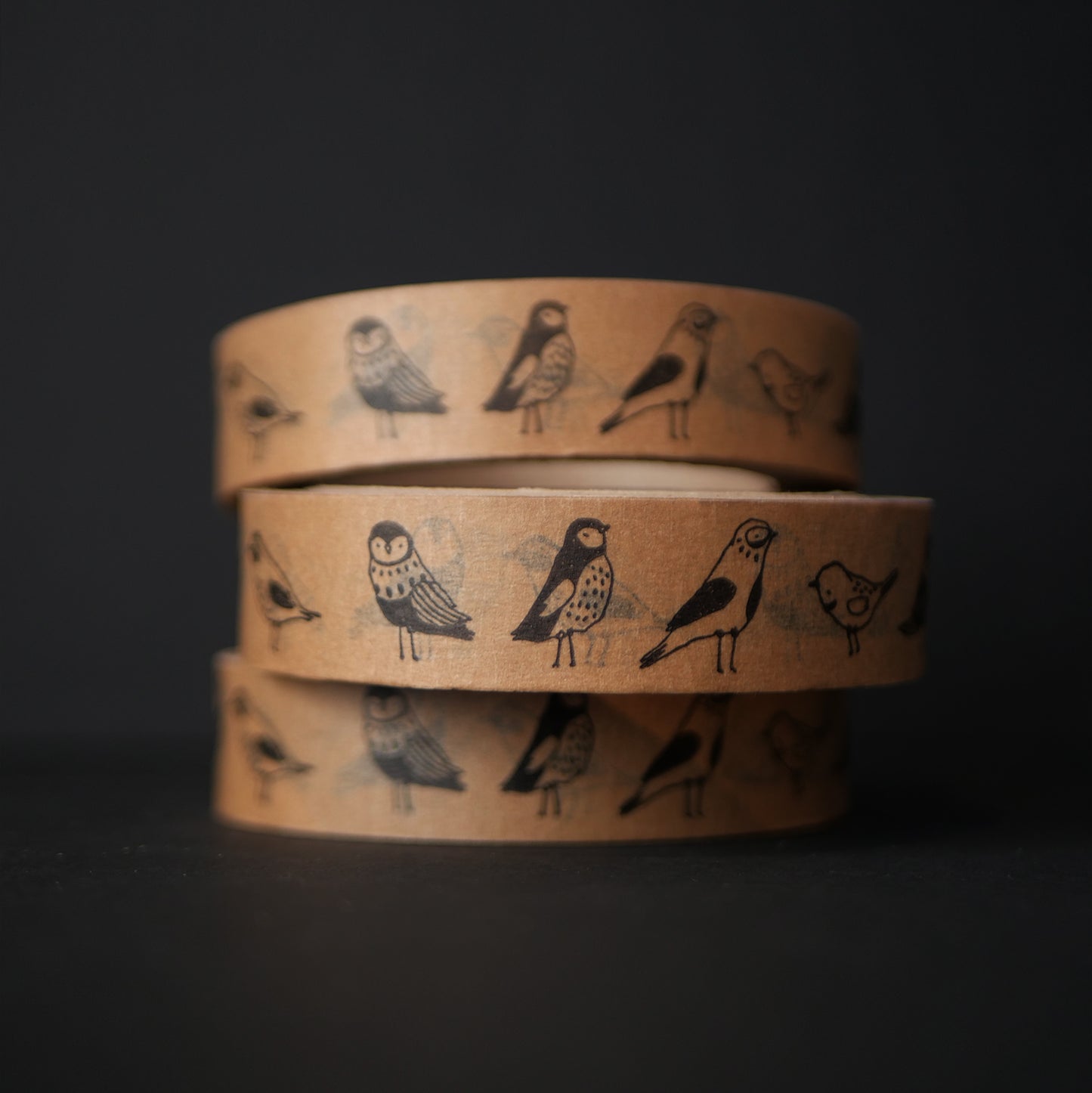 paper tape - birds!