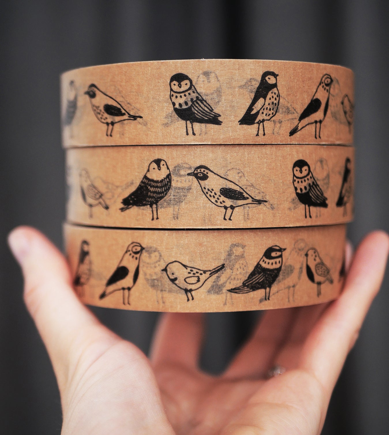 paper tape - birds!