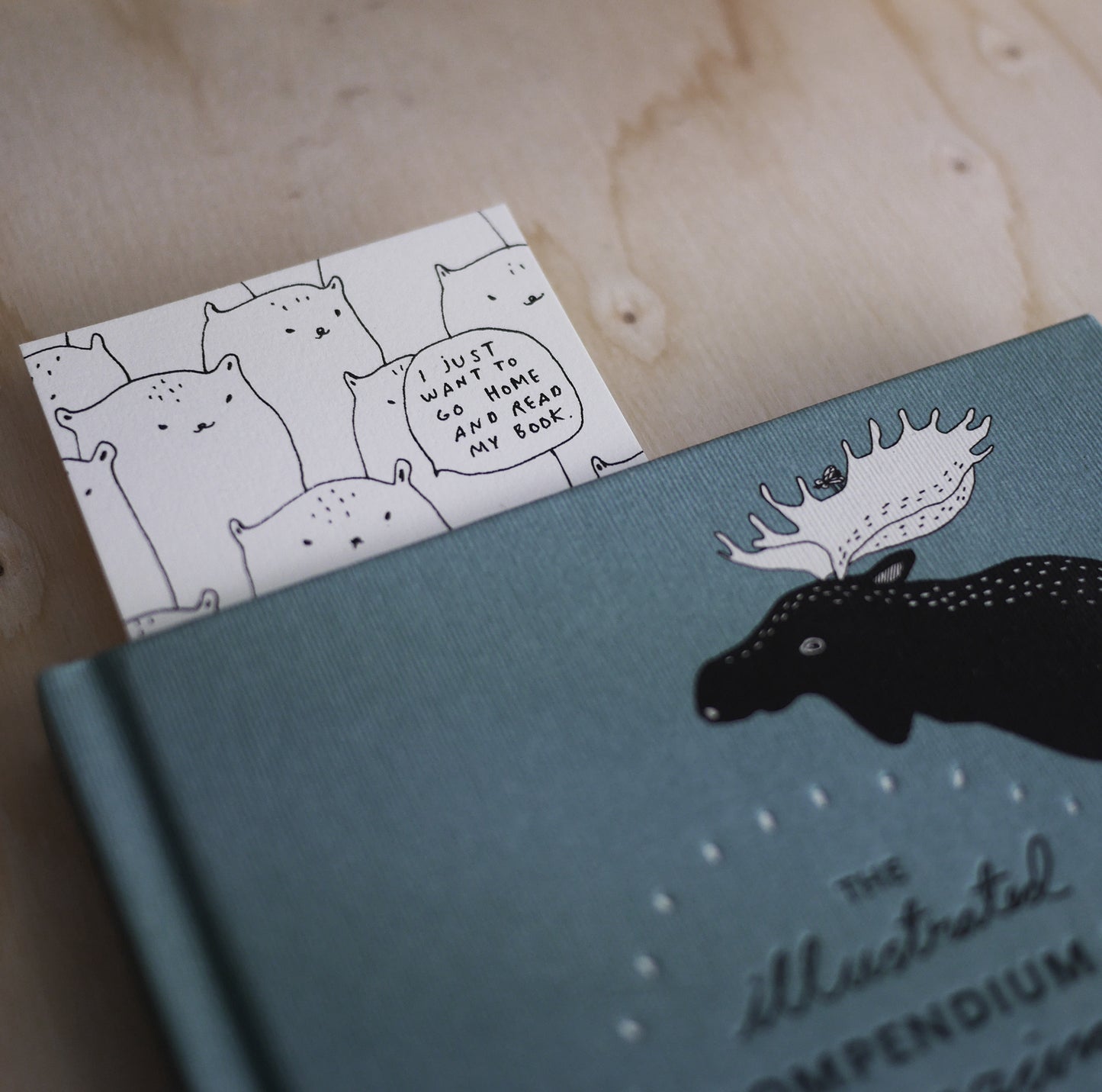 Read My Book - Set of 3 Mini Cards