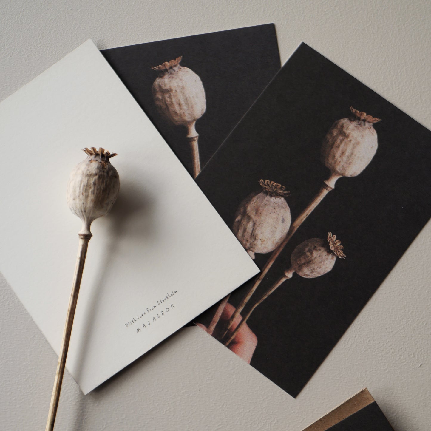 Poppies - greeting cards set of three