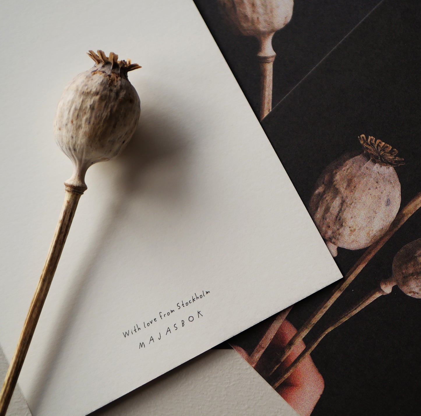 Poppies - greeting cards set of three