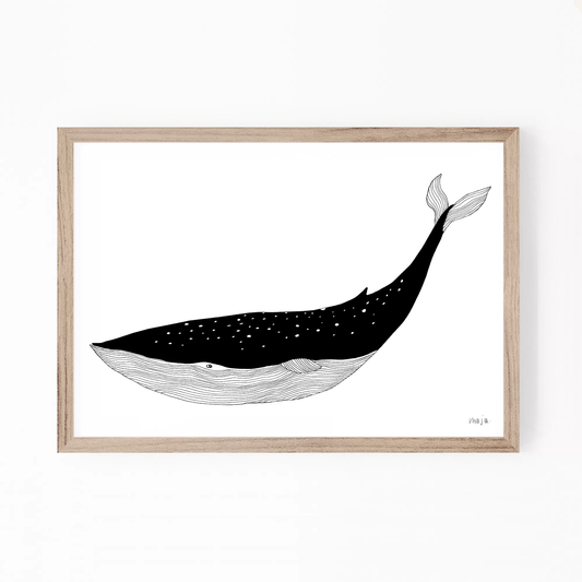 whale, whale illustration, whale print, whale art, black and white print, majasbok, art print, print, line drawing, whale animal, animal print