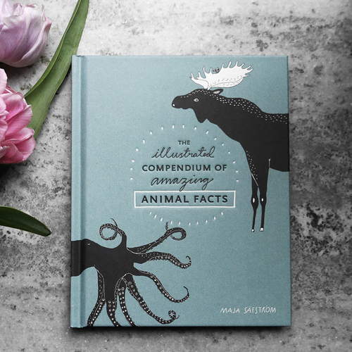 maja säfström, majasbok, animal book, octopus, tenspeed press, book cover, green book, deer, book, animal facts, illustrated book