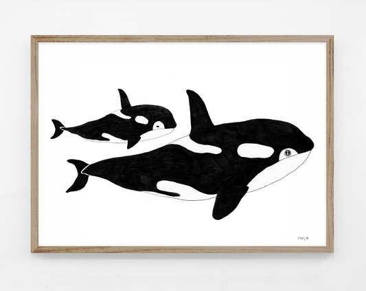 Orca - print