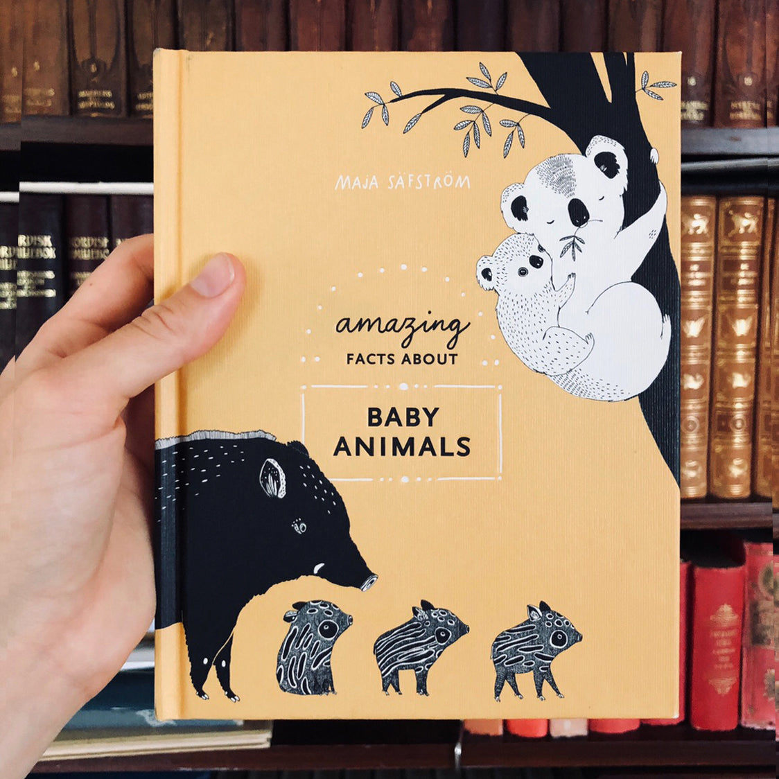 Amazing facts about baby animals - signed + PRINT